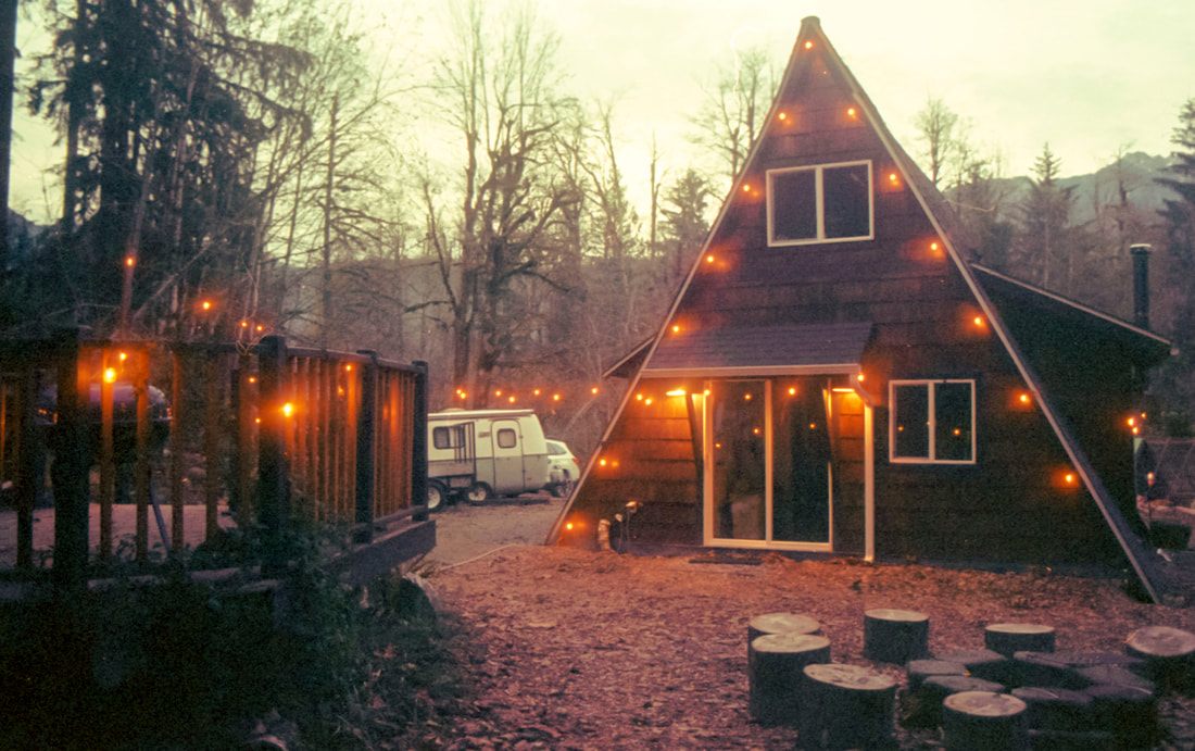 Chickens at the PNW cabin captured in a film photograph