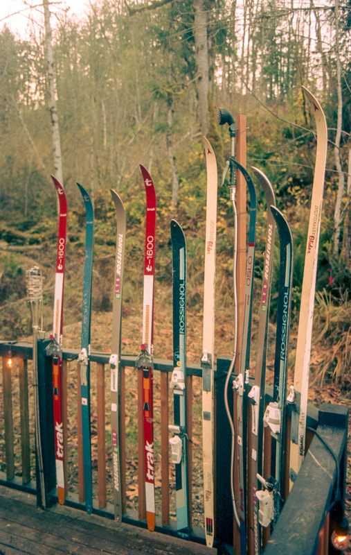Film photography of the cabin's woodsy Pacific Northwest surroundings
