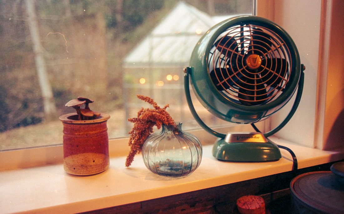 Rustic cabin detail shot on film in the Pacific Northwest
