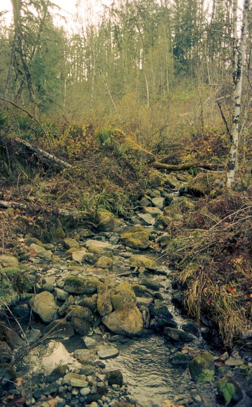 Interior detail of the Pacific Northwest cabin captured on film