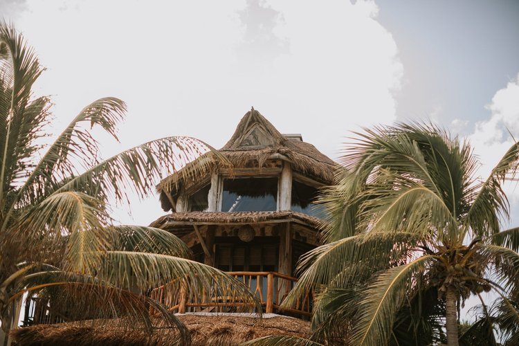 Palm-lined beach on Mexico's Riviera Maya