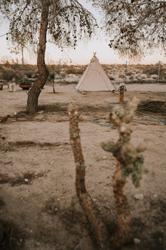 Interior view of the Joshua Tree desert house mid-remodel