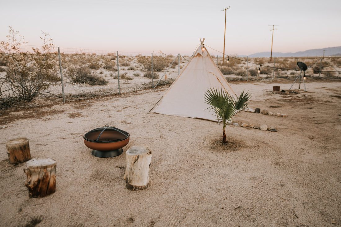 Desert landscape surrounding the Joshua Tree property at golden hour