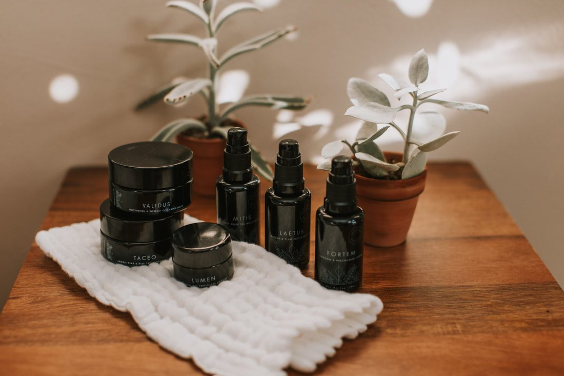 Botanical skincare bottle styled for Creation Skin Sanctuary product photography.