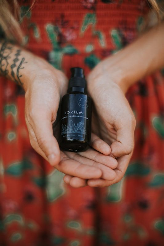 Flat lay of Creation Skin Sanctuary botanical skincare products on a styled surface.