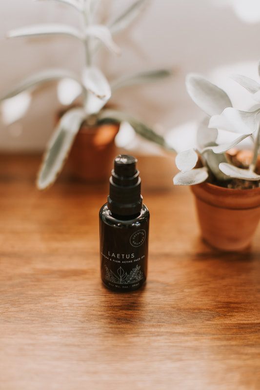 Creation Skin Sanctuary product grouping styled for an all-natural skincare campaign.