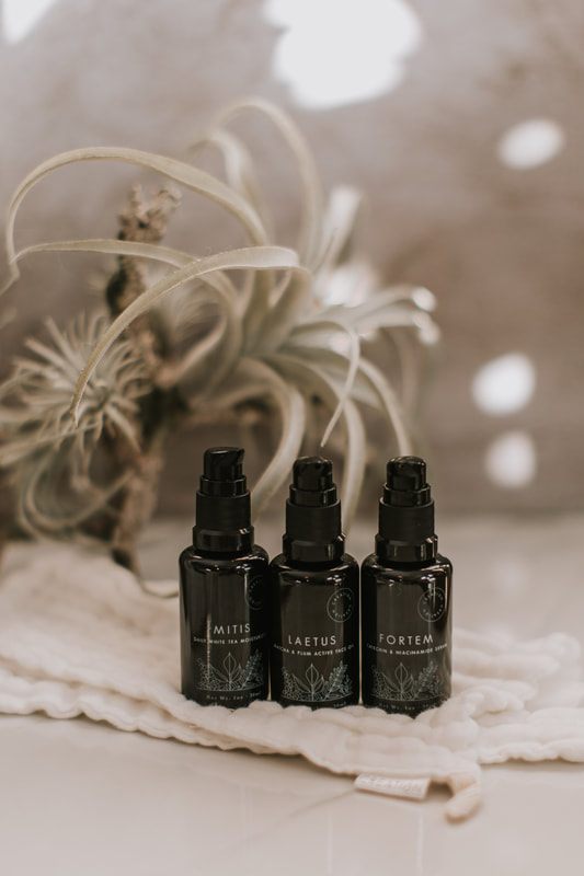 Skincare bottle and box packaging shot for a Seattle beauty brand.