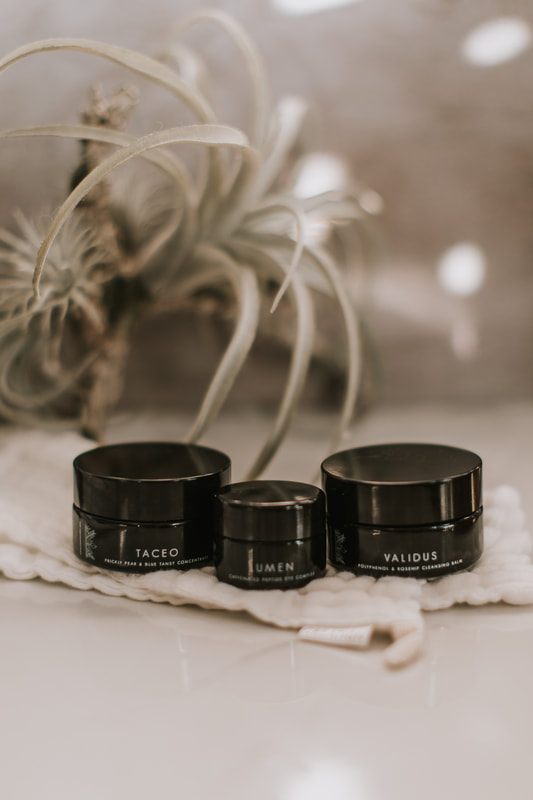 Botanical ingredient styling alongside Creation Skin Sanctuary skincare products.