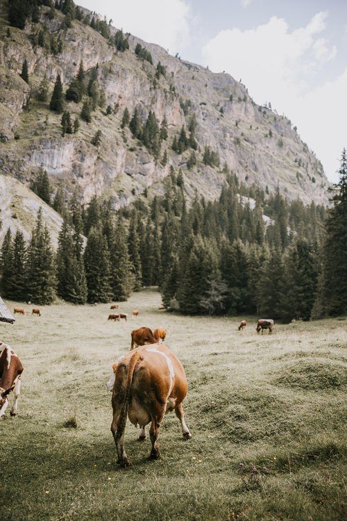 Mountain hut with beer and cheese on a Dolomites women's retreat