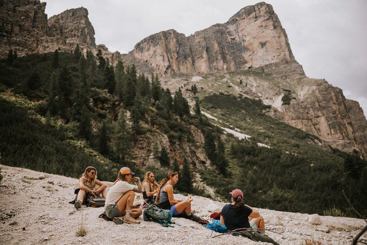 Alpine wildflowers in the Dolomites