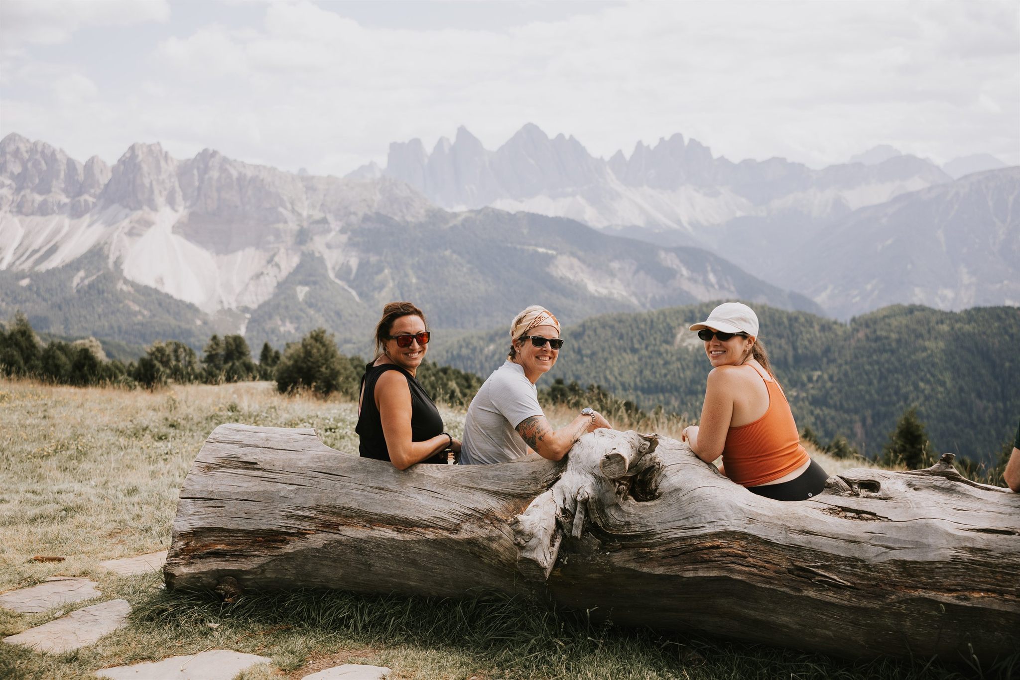 Jagged Dolomites peaks above a green valley