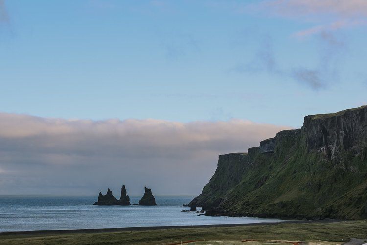 Puffins on the coast during the Iceland women's retreat