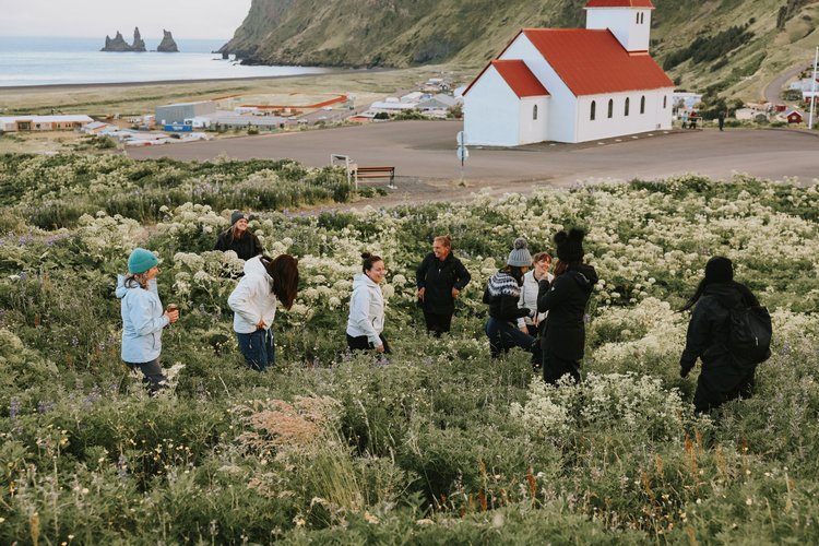 Group of women on the Iceland women's retreat