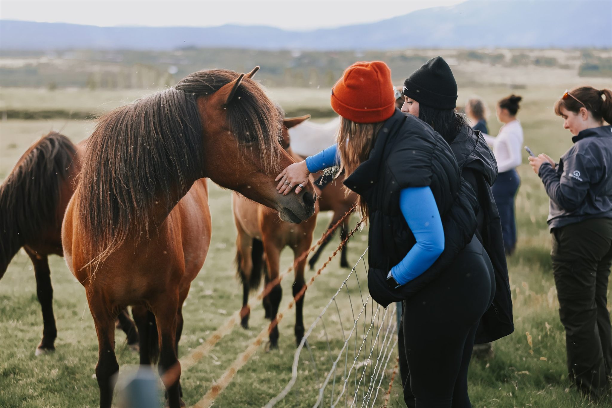 Midnight sun hike in Iceland