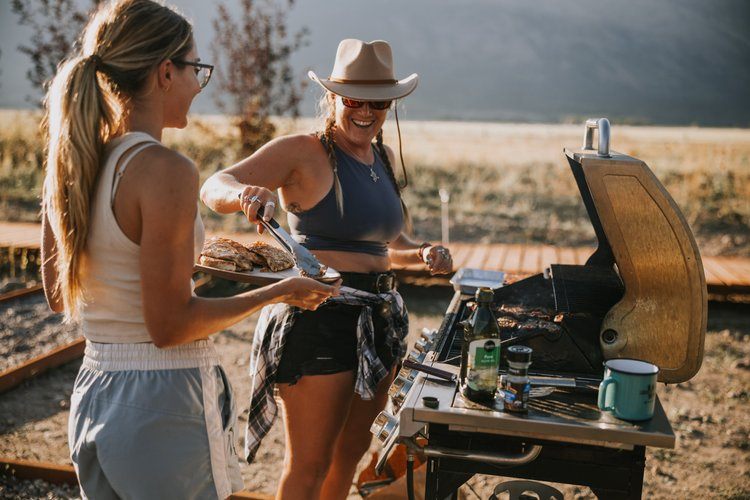 Road trip through Yellowstone National Park