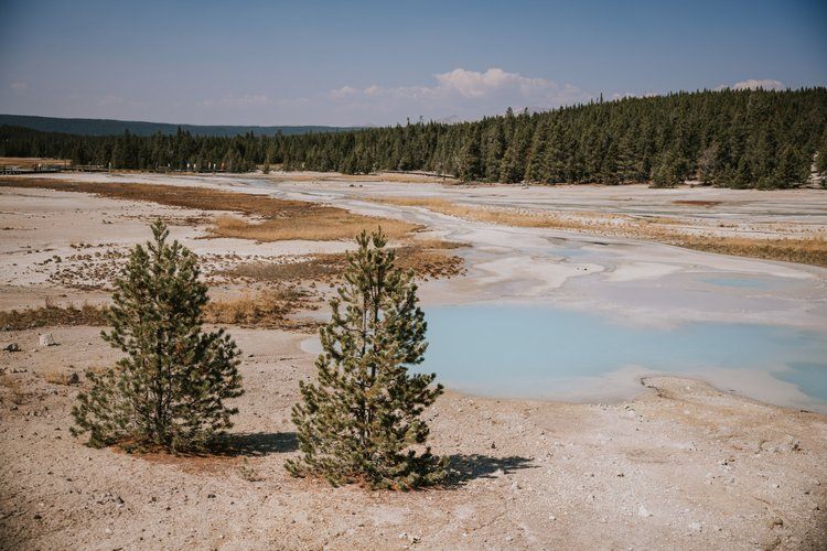 Women gathered outdoors at the Grand Tetons retreat