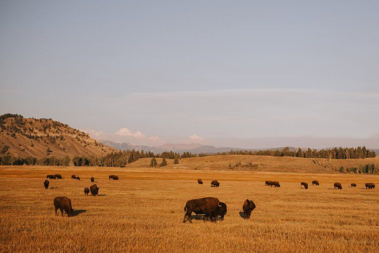 Hot springs soak under an open Wyoming sky on a women's retreat