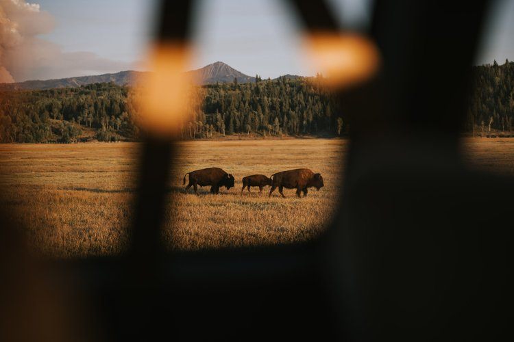 Morning light over the Tetons near Jackson Hole
