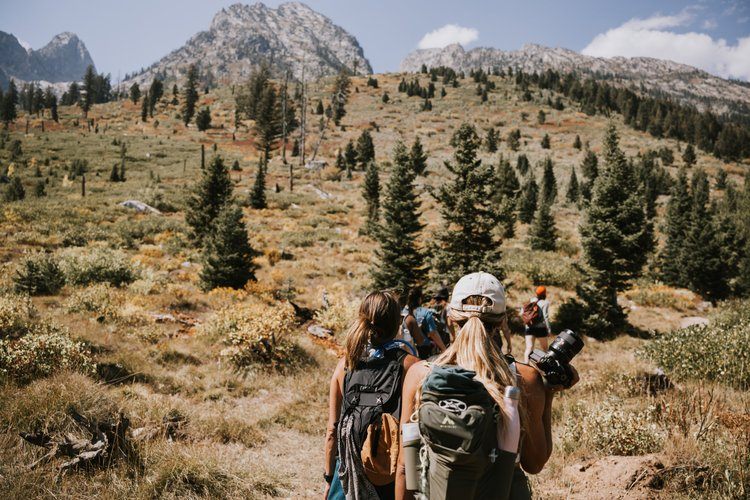 Road trip through Yellowstone National Park