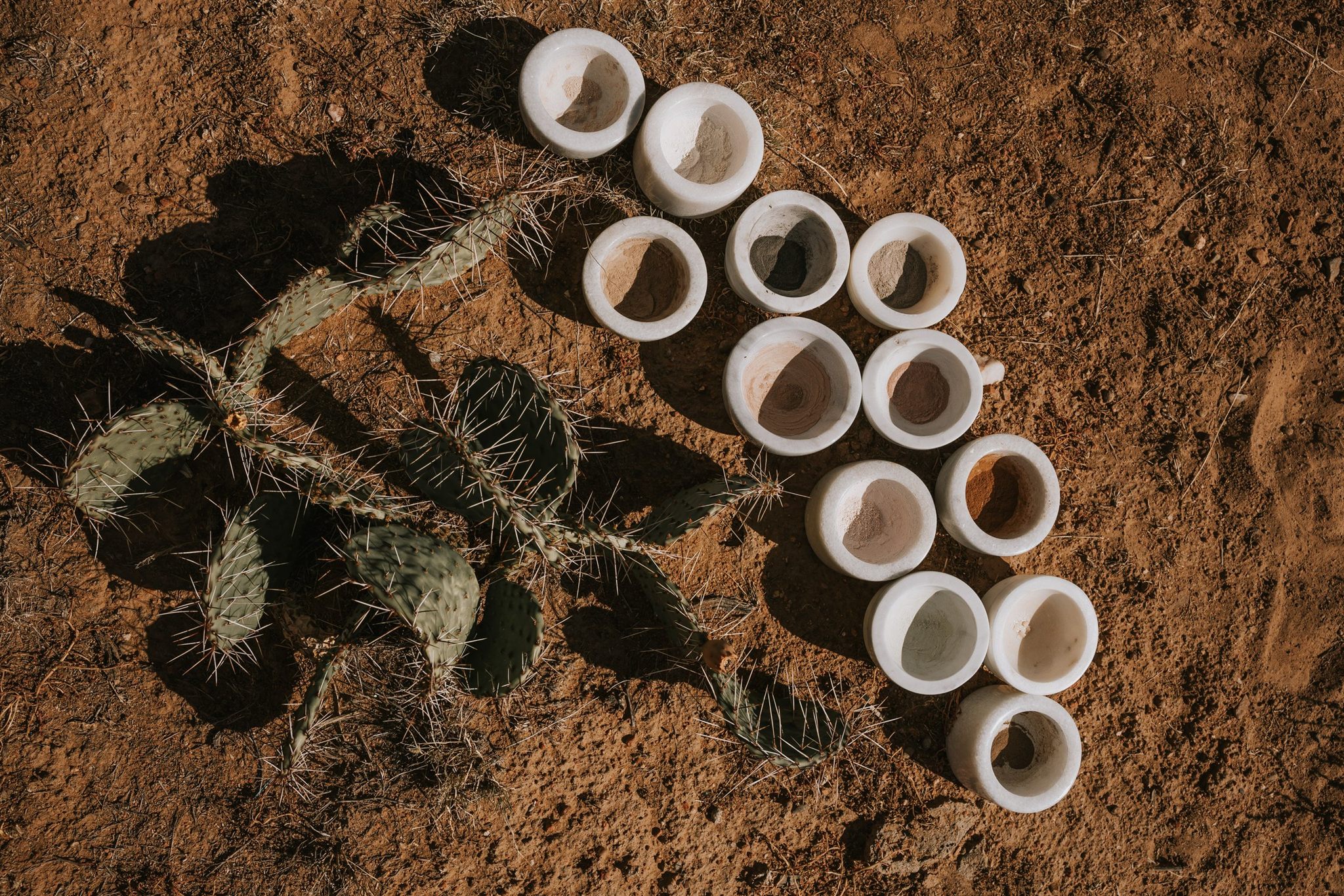 Photography workshop in the Santa Fe desert