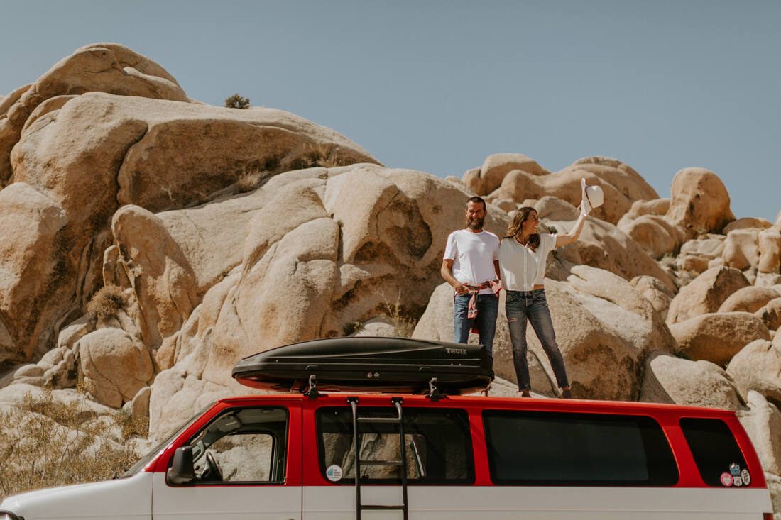 Detail of the couple's hands intertwined with a Joshua tree in the background