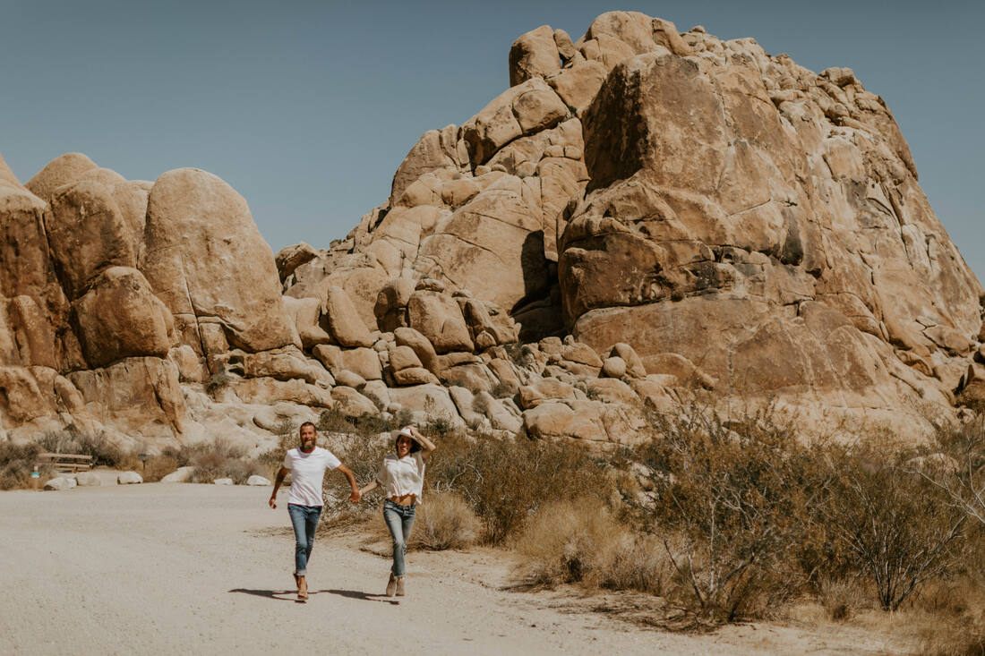 Detail of the couple's hands intertwined with a Joshua tree in the background, from later in the session