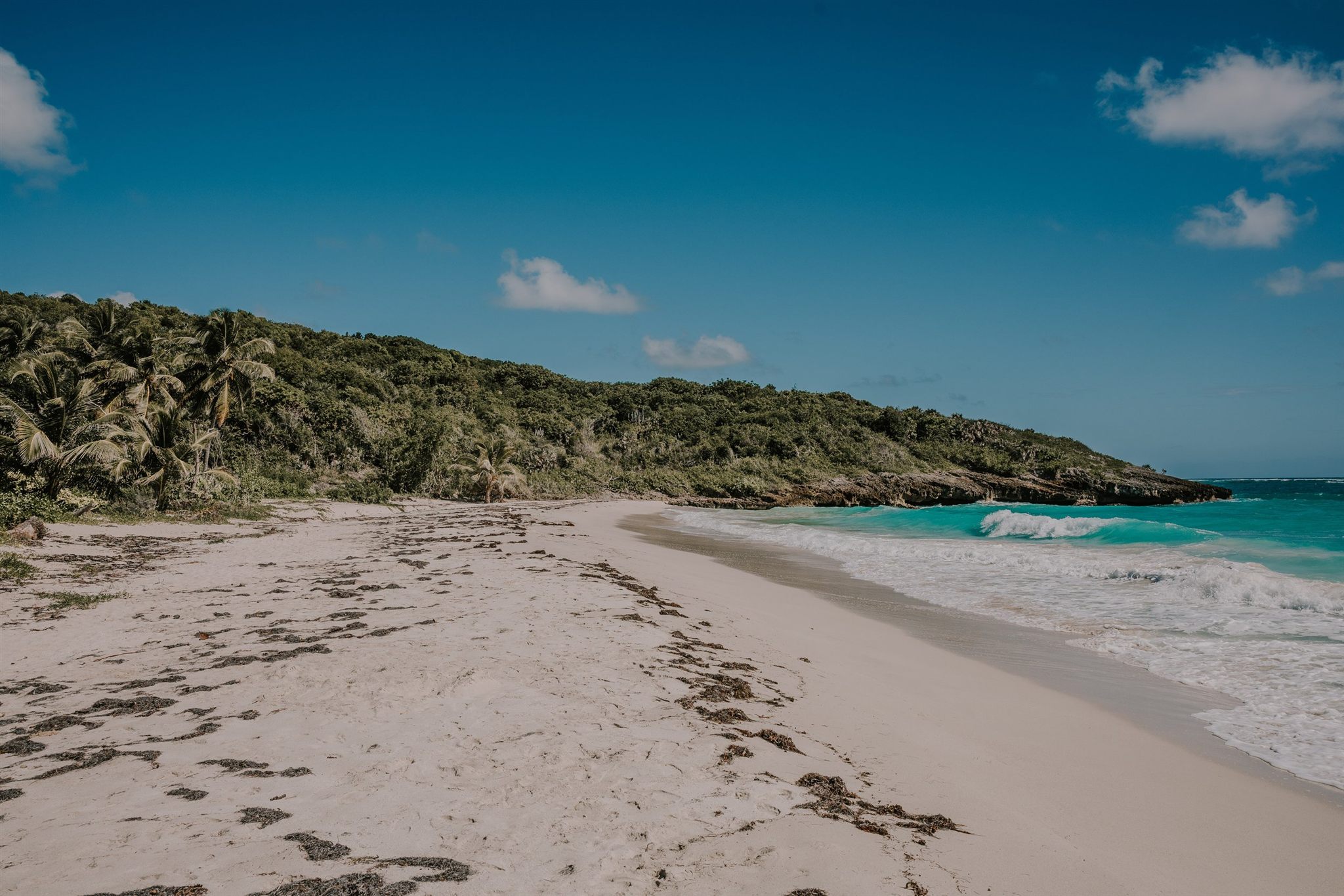 Janzu water therapy in the warm Caribbean ocean at the Vieques retreat