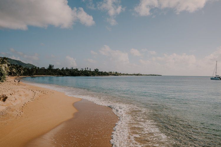 Exploring the lush landscapes of Vieques, Puerto Rico