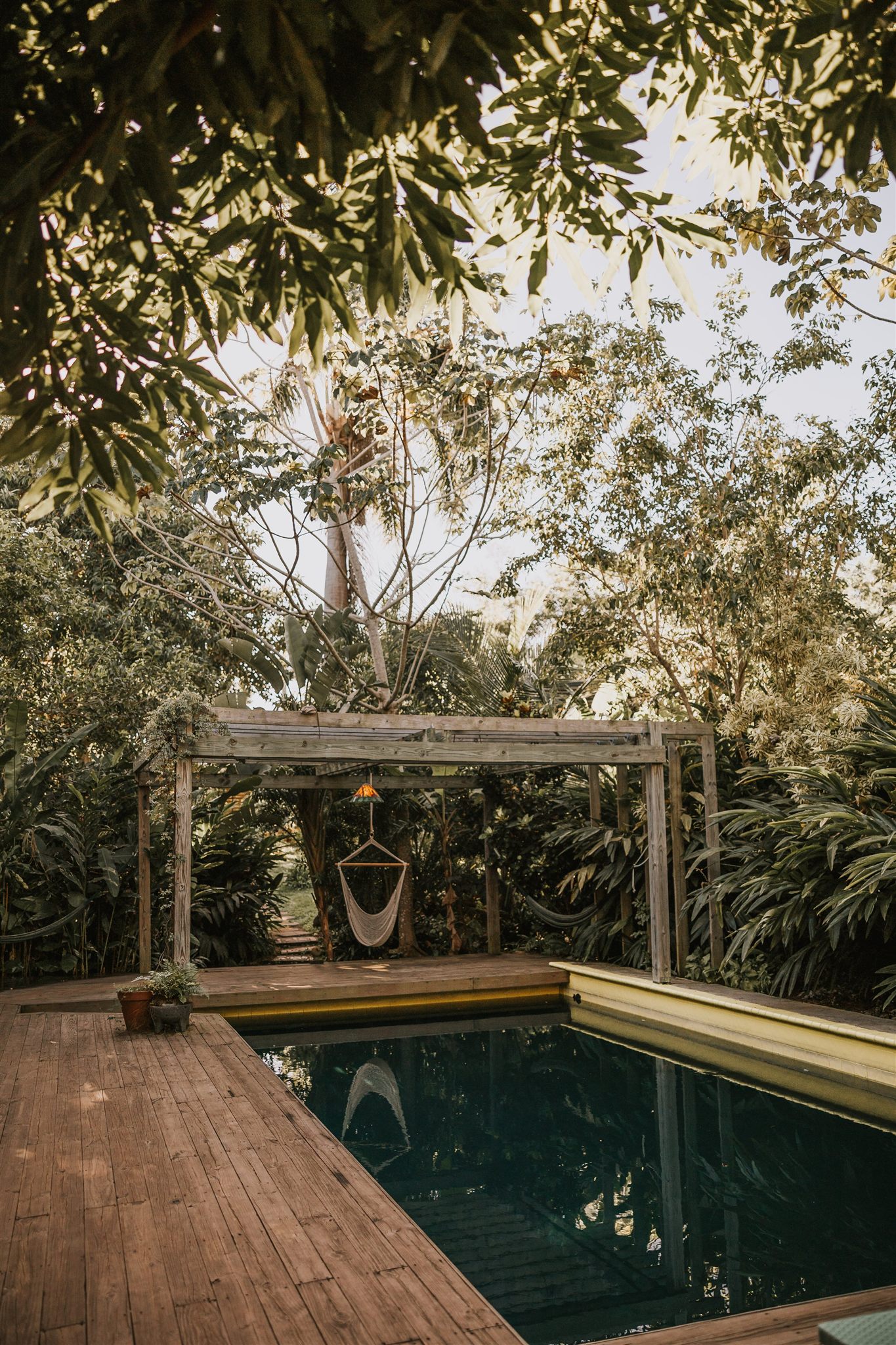Exploring the lush landscapes of Vieques, Puerto Rico