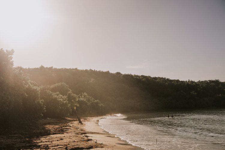 Turquoise water and an untouched beach on Vieques island, Puerto Rico