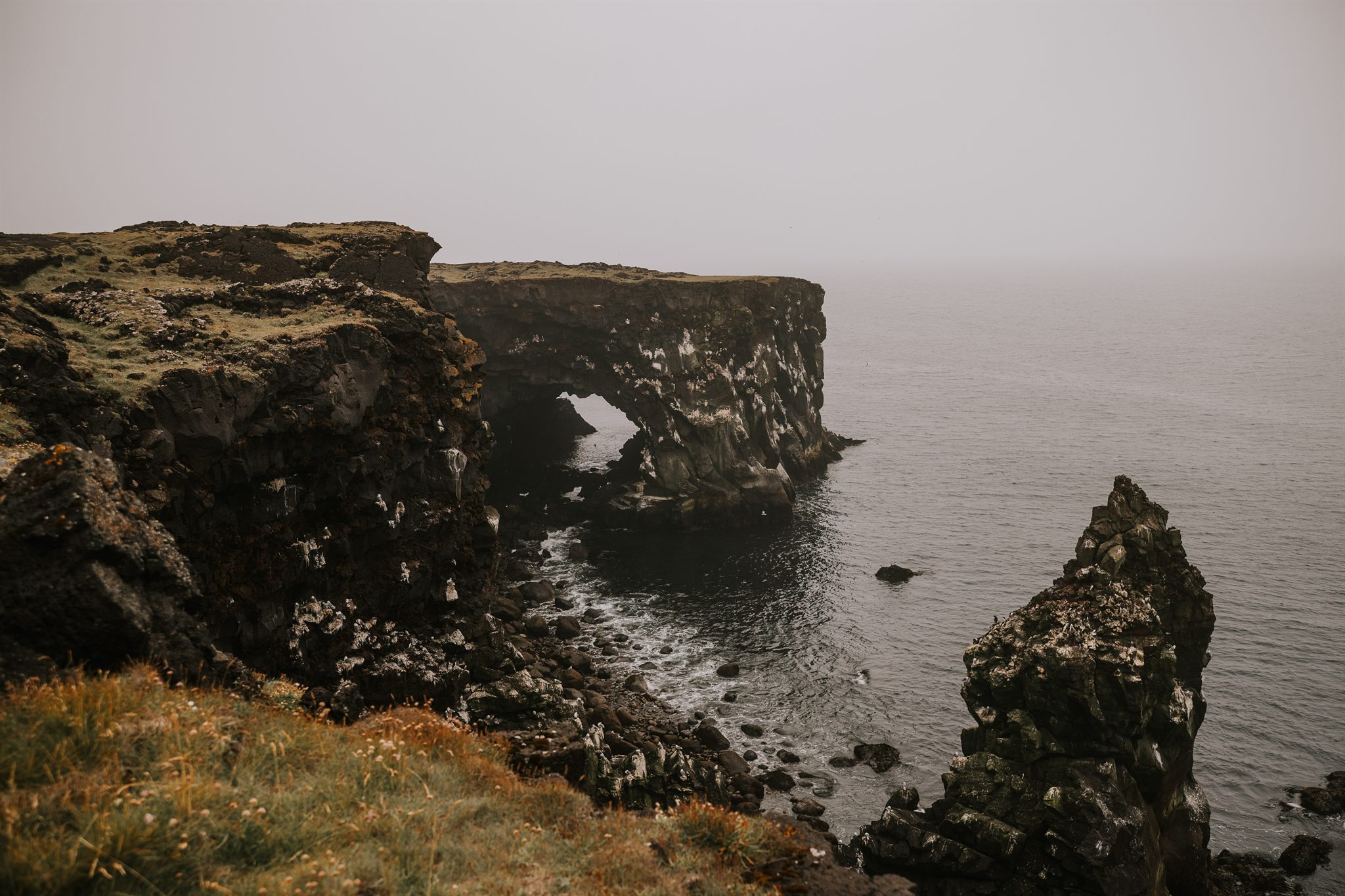 Black-sand beach on an Iceland women's retreat