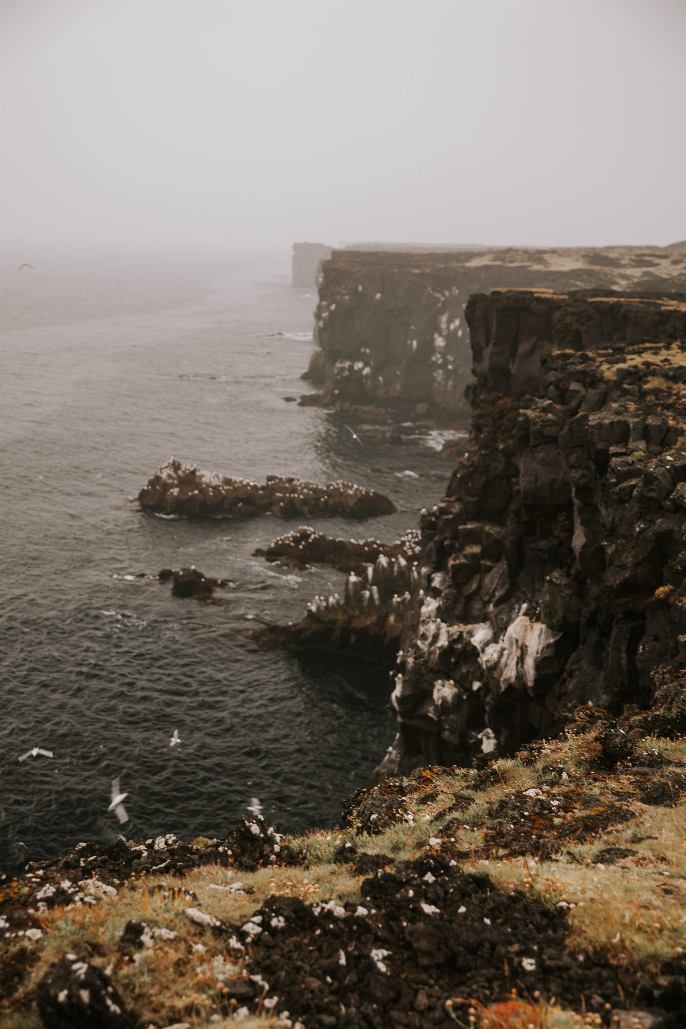 Road trip through the Icelandic landscape on a women's retreat