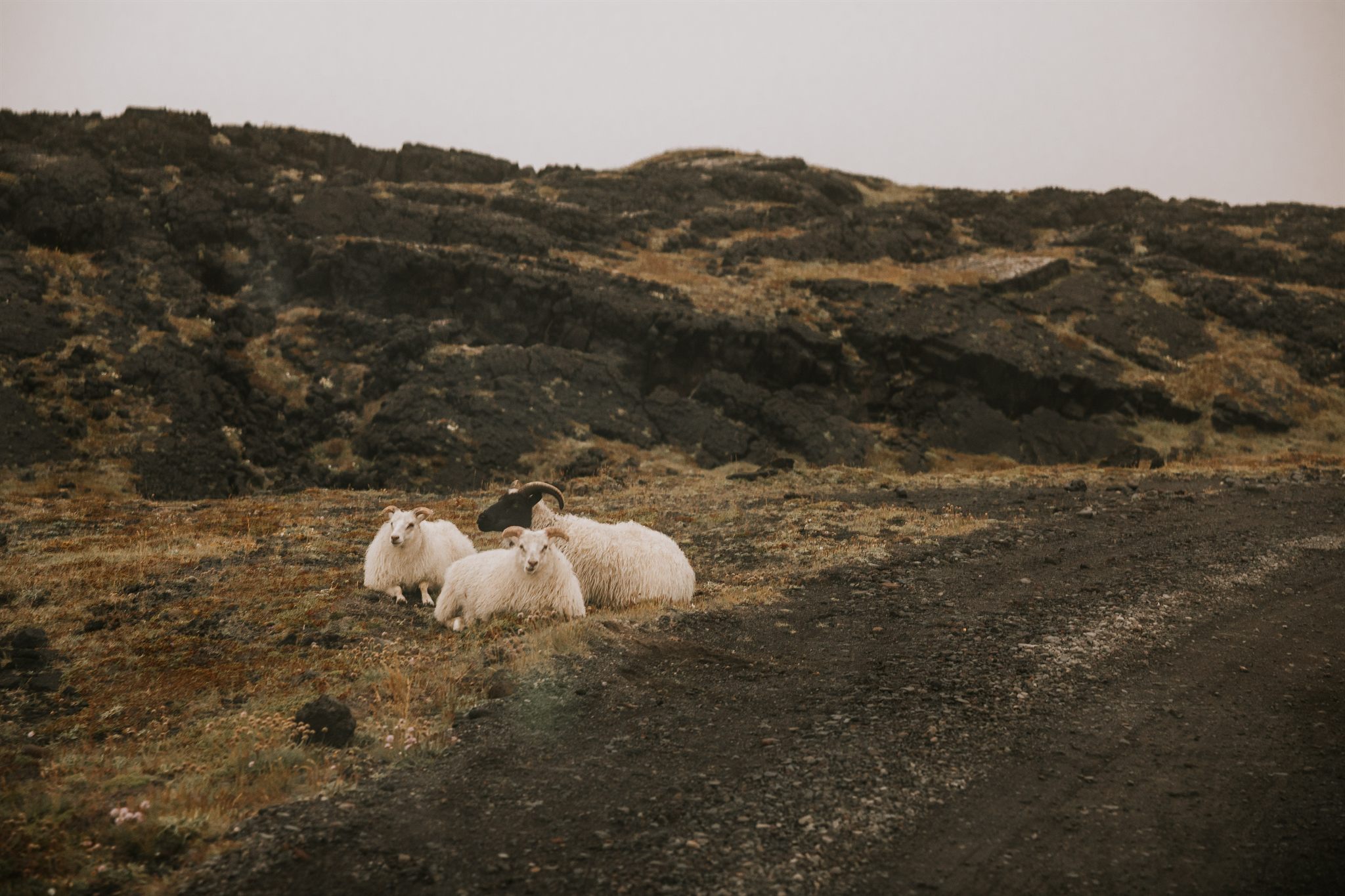 Women gathered outdoors on the Iceland summer retreat