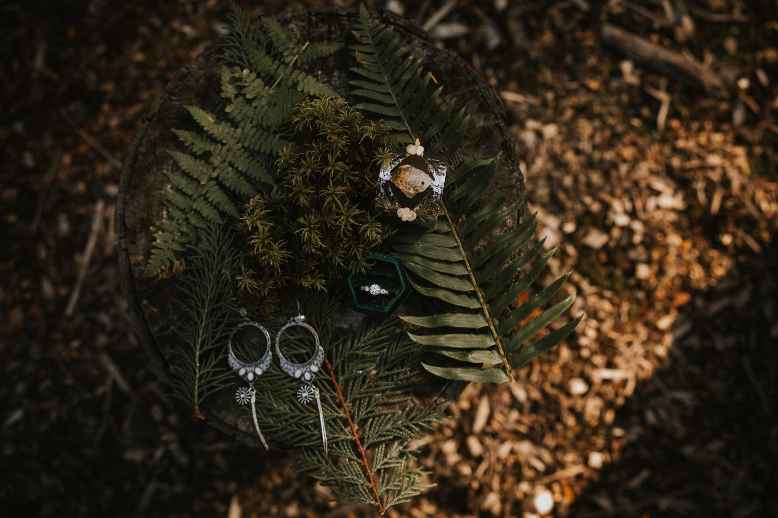 Overhead detail of earrings, rings and a green velvet ring box arranged on ferns and moss on a tree stump