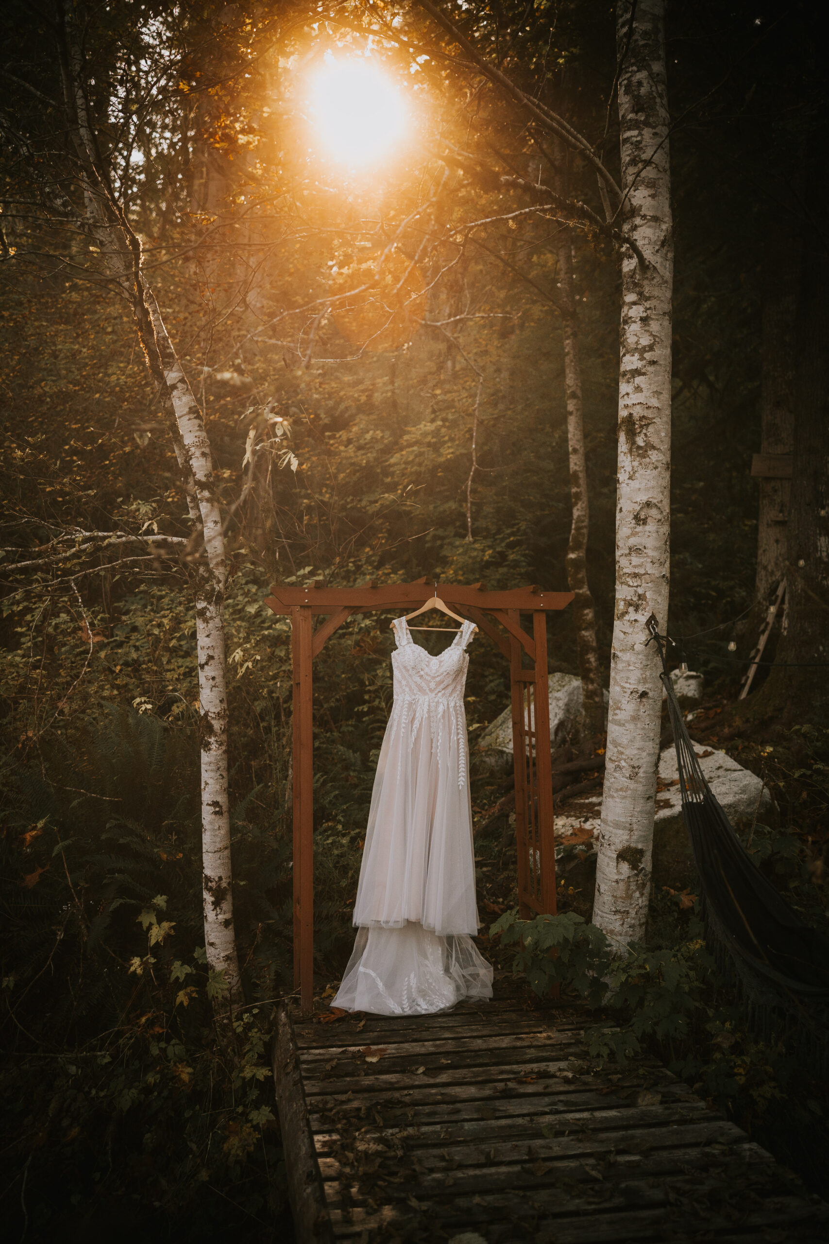 The wedding dress hanging from a wooden arbor on a forest boardwalk with late sun through the trees