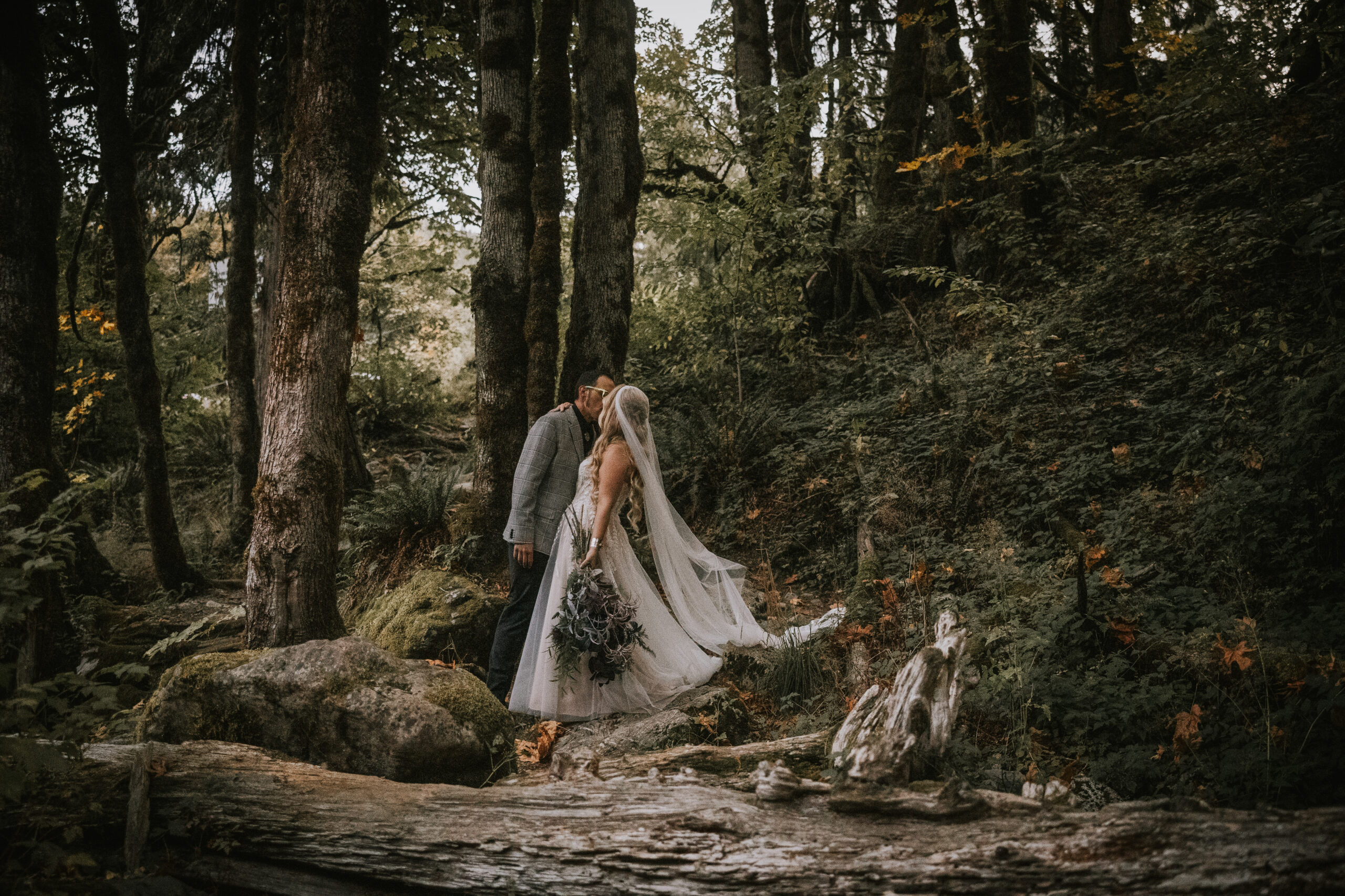 The couple kissing among mossy trees on the forest floor