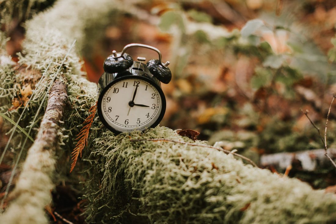 Women's circle retreat in the Cascade Mountains, Washington